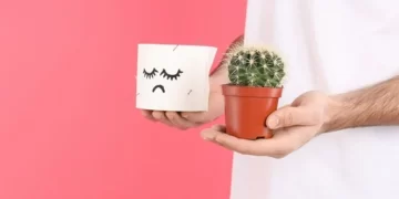 أطعمة مسموحة وممنوعة لمرضى البواسير