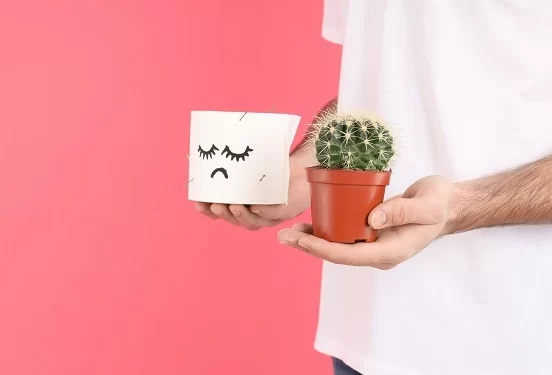 أطعمة مسموحة وممنوعة لمرضى البواسير