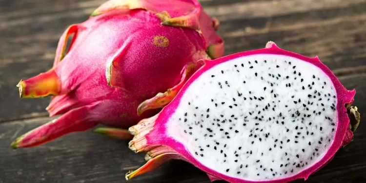 دراجون فروت