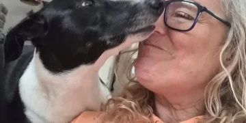 كلب ينقذ حياة صاحبته