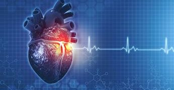 معدل ضربات القلب الطبيعي