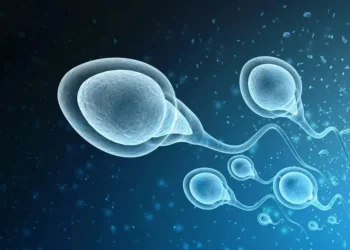 ما الفرق بين المذي والمني